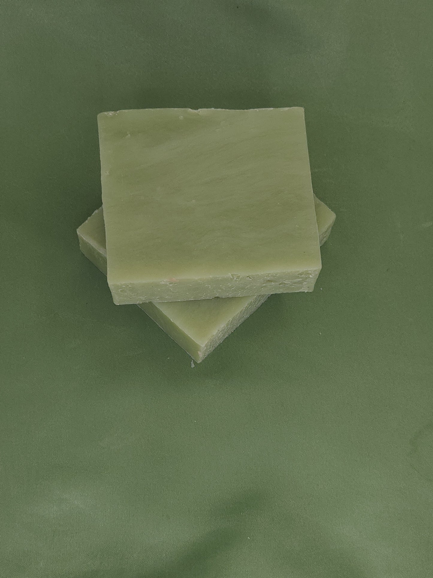 Aloe Vera para charlas de primavera